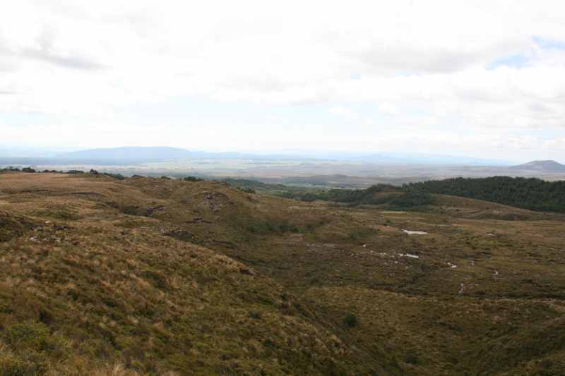 Nieuw-Zeeland 2011 - 0871